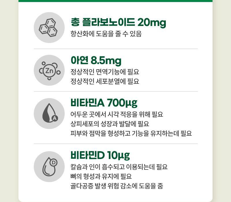 성분별 주요 효능 인포그래픽 (그린프로폴리스, 아연, 비타민)