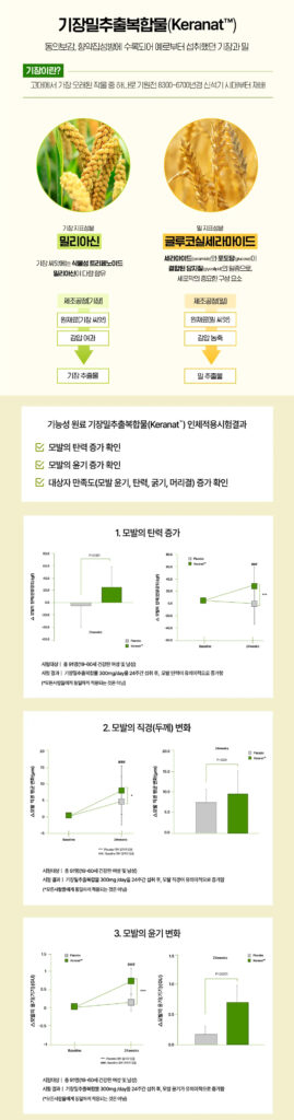 Keranat 기장밀추출복합물의 모발 개선 작용 이미지