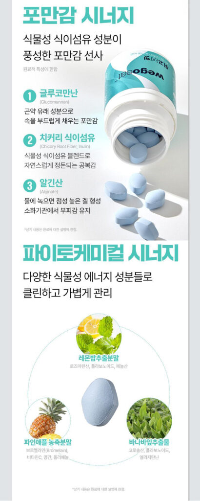 위고잇 주요 성분 설명 인포그래픽 (파인애플, 레몬밤, 유산균 등)