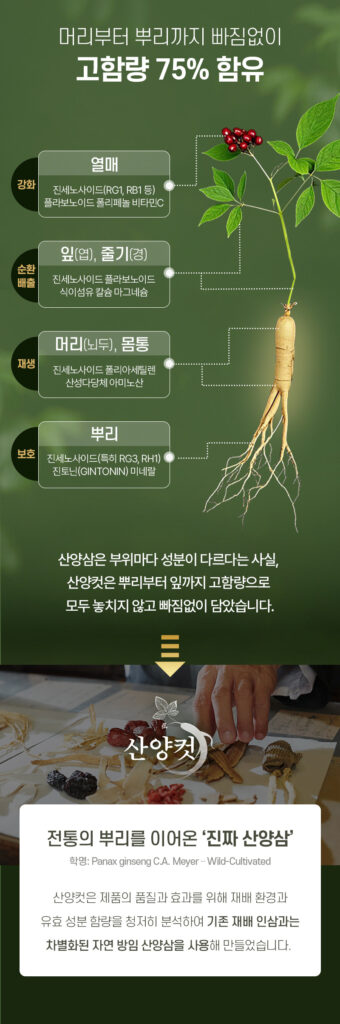 성분 인포그래픽