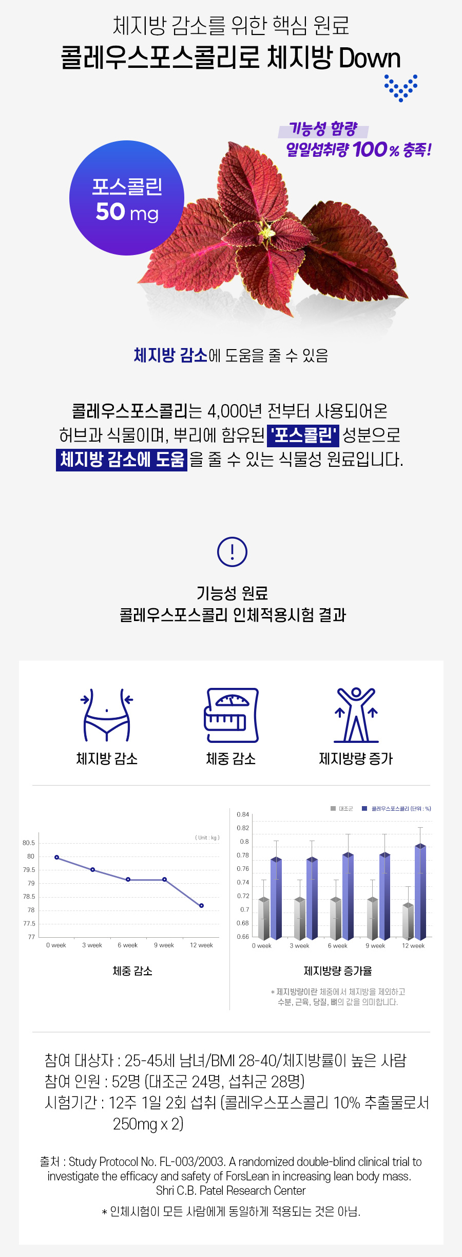 칼로 나이트 주요 성분 요약