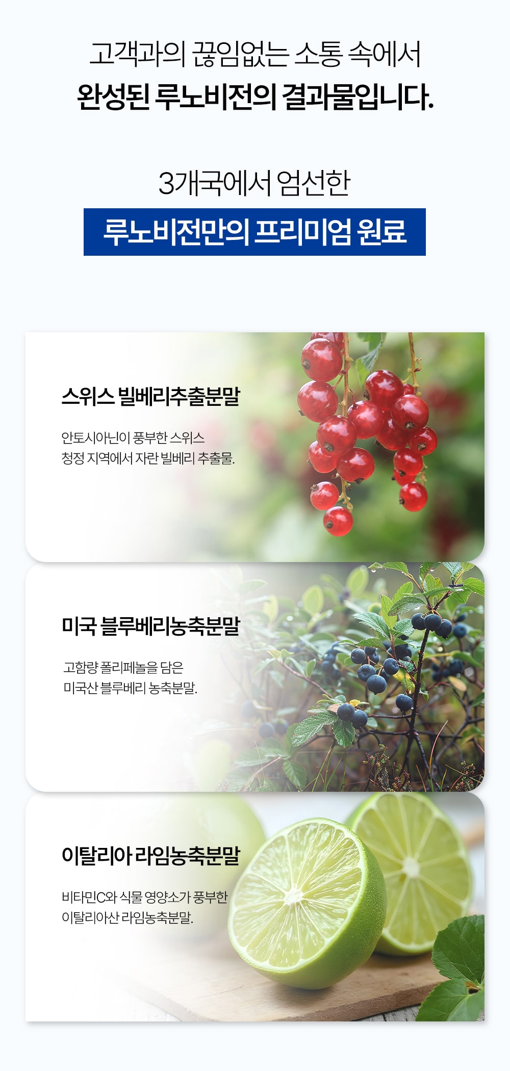 루노비전-성분