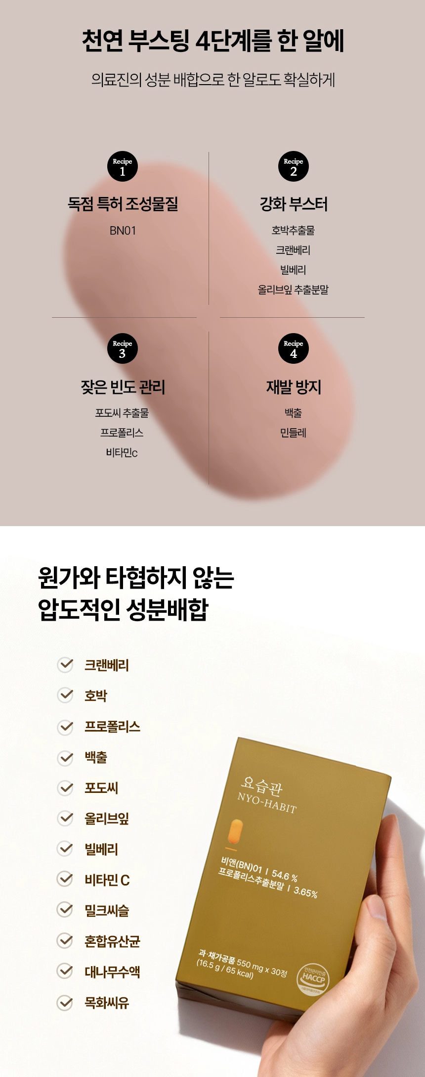 bn01 요습관 성분사진