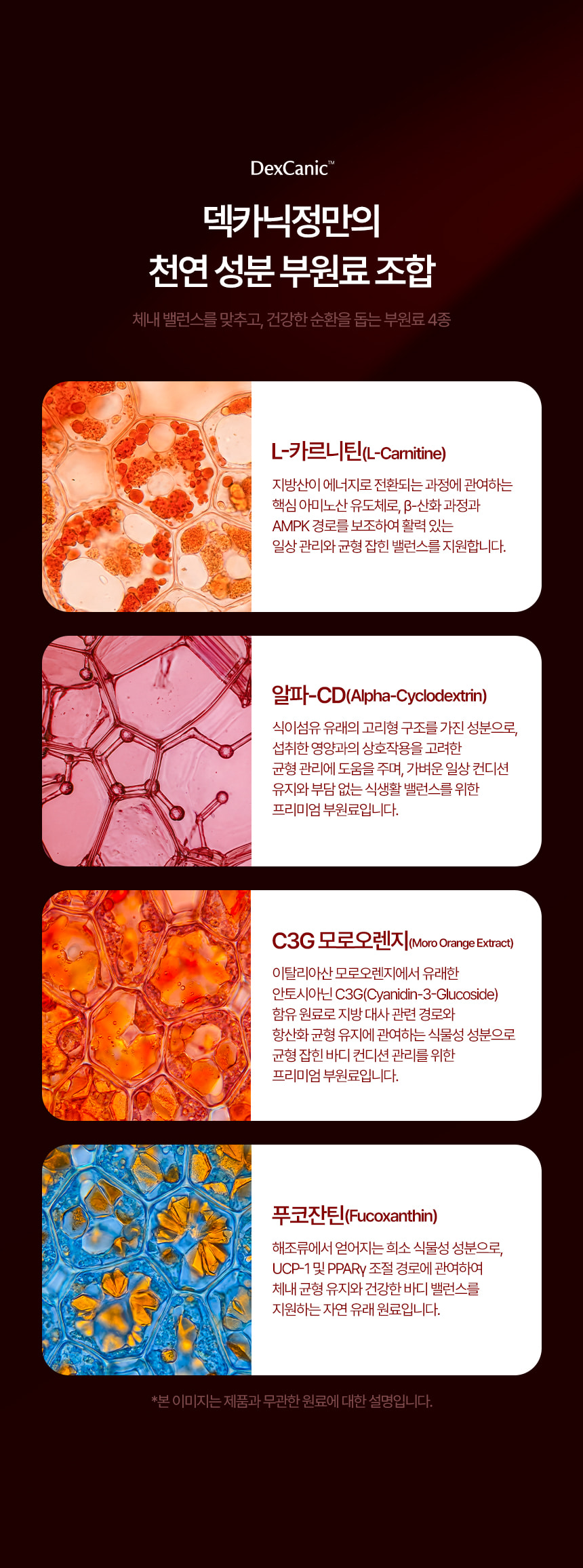 덱카닉정_추천 이미지
