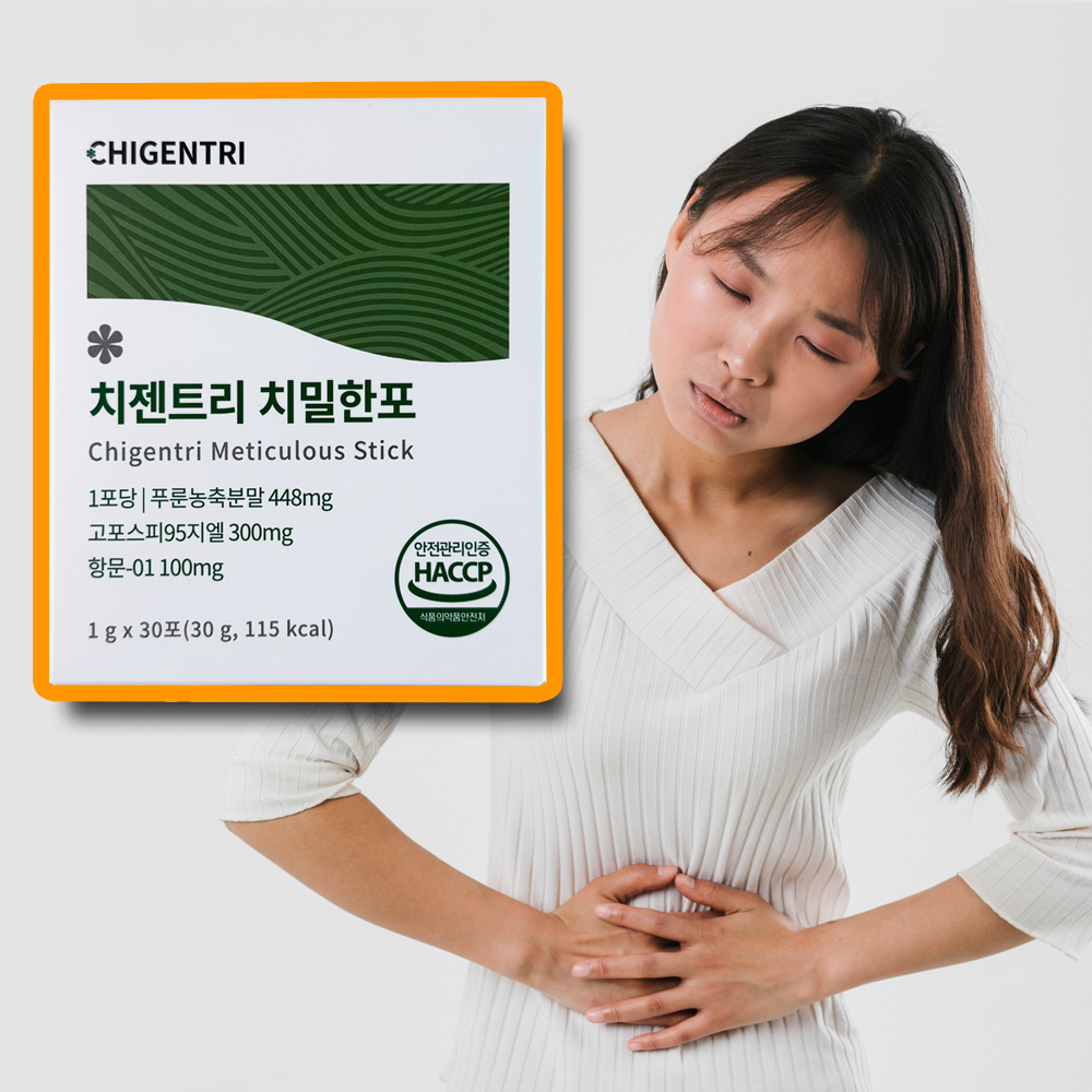 치첸트리_대표이미지
